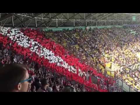 Dynamo Dresden - 1. FC Köln Fans Bundesliga Stimmung Ultras Best Of