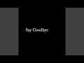 Say Goodbye