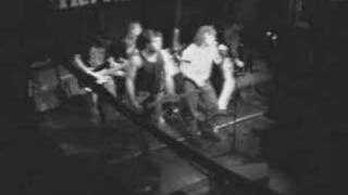 Thee Herbert Oranges - Levitation