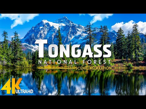 Tongass National Forest 4K • Scenic Relaxation Film With Epic Cinematic Music • Nature 4k Video UHD