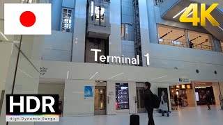 Download lagu 【4K HDR】Haneda Airport Walk - Terminal 1 mp3 Download lagu 【4K HDR】Haneda Airport Walk - Terminal 1 mp3