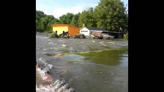 preview picture of video 'Hochwasser in Merseburg Am Werder Teil 2 Jahr 2013'
