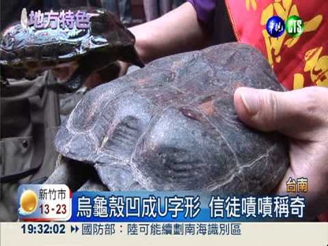 廟宇奇觀! 凹形殼龜成活招牌