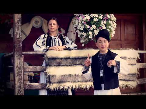 TOMA DARIUS -  PE VALEA MURESULUI