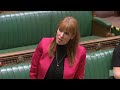 Angela Rayner attacked after calling Tory MP 'scum'