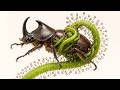 World's Strongest Bugs Vs World's Deadliest Carnivorous Plants DEFAULT Thumbnail