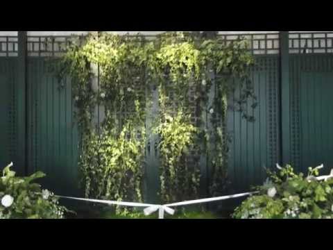 Living Tree Venue and Agroforestry Tourism