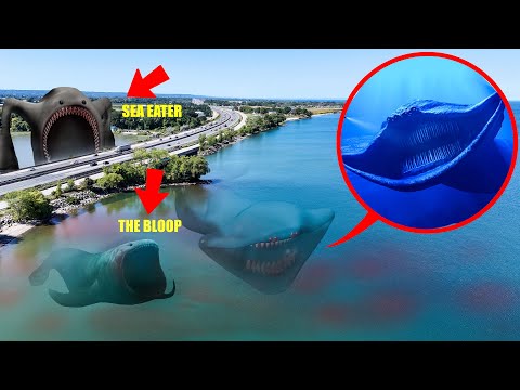 I CAUGHT THE EL GRAN MAJA IN REAL LIFE!