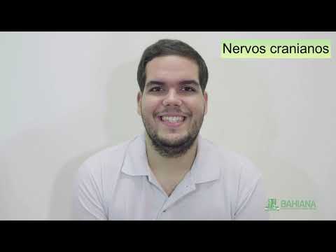 EXAME DOS NERVOS CRANIANOS