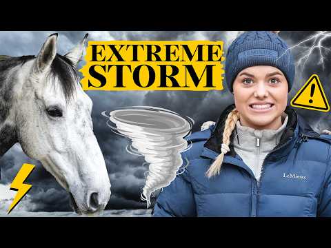 Storm Prep - keep the horses safe - This Esme Ad