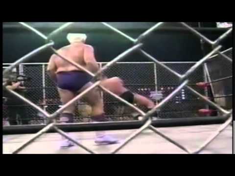 Ric Flair vs Arn Anderson Steel Cage Match