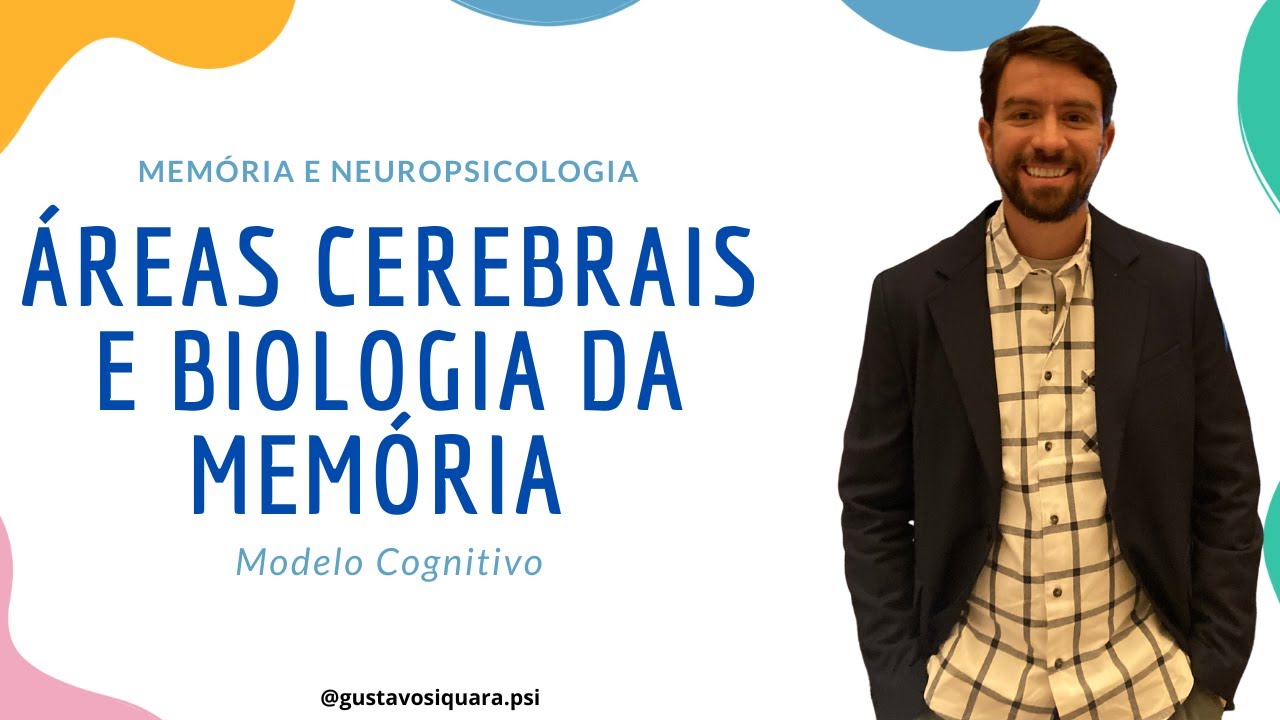 Áreas Cerebrais - Memória e Neuropsicologia - Aula 3 #memória #memóriahumana #neuropsicologia