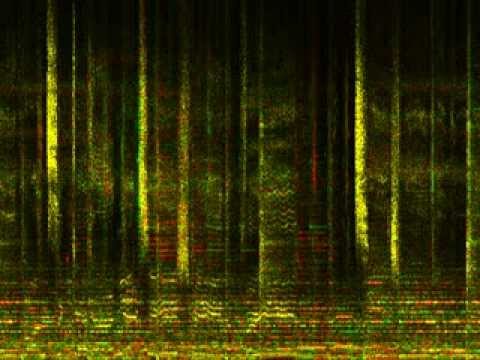 Emma Stevens   Underwater   stereo colour spectrogram 20 khz