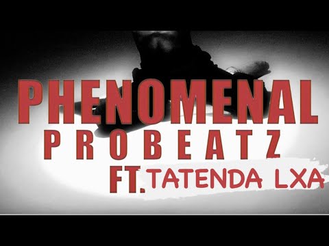 PROBEATZ - Phenomenal ft Tatenda LXA  (official performance video)