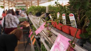 Minneapolis Farmers Market celebrates 150 years of connecting community
