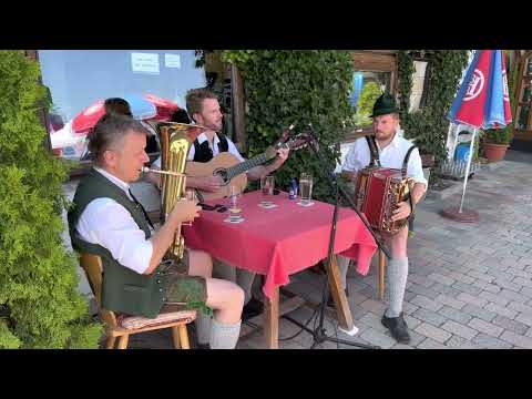 Vogelfrei Musi bei uns auf der Terrasse