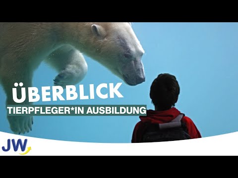Die Ausbildung zum Tierpfleger*in im Überblick!