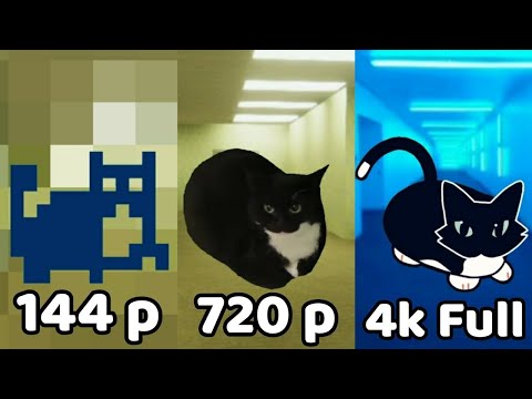 MAXWELL CAT 144p vs 720p vs 4k Full