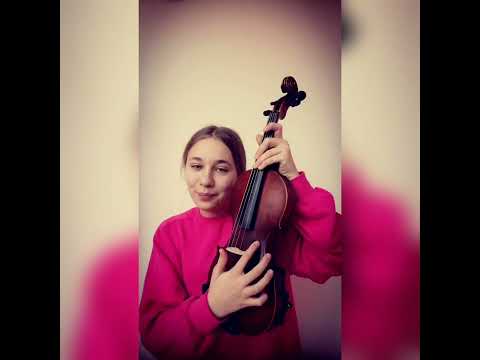 Lecția 1 -Componentele viorii și ale arcușului 🎻