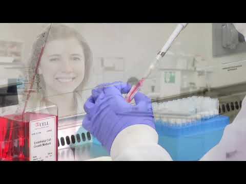 download lagu mp3 mp4 Cell Company, download lagu Cell Company gratis, unduh video klip Cell Company