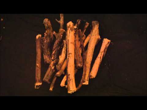 Palo Mayombe/ Palo Monte #2 English