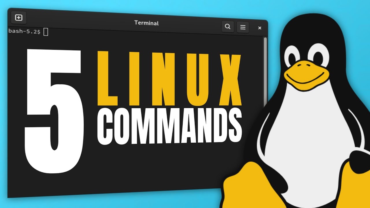 5 Linux Commands Every Beginner Should Know