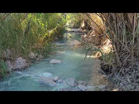 Baños Termales Romanos de Hedionda. Casares