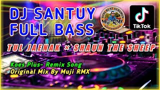 Download lagu DJ SANTUY TUL JAENAK SHAUN THE SHEEP FULL BASS 202... mp3