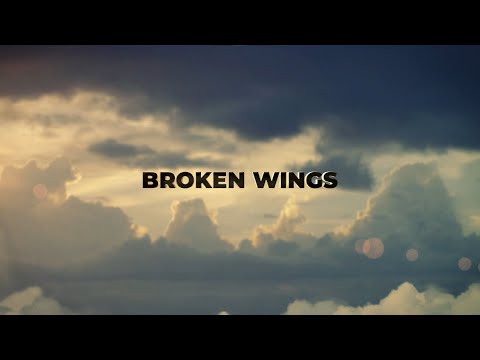 jav3x - broken wings (official video)