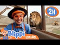 Blippi Va Al Zoo Aprende Con Blippi BlippiEspañol Moonbug Kids Parque De Juegos