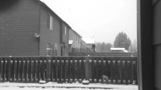 Let Me Be Him - Hot Chip