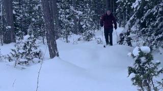 preview picture of video 'Backcountry skiing in the archipelago 2010'