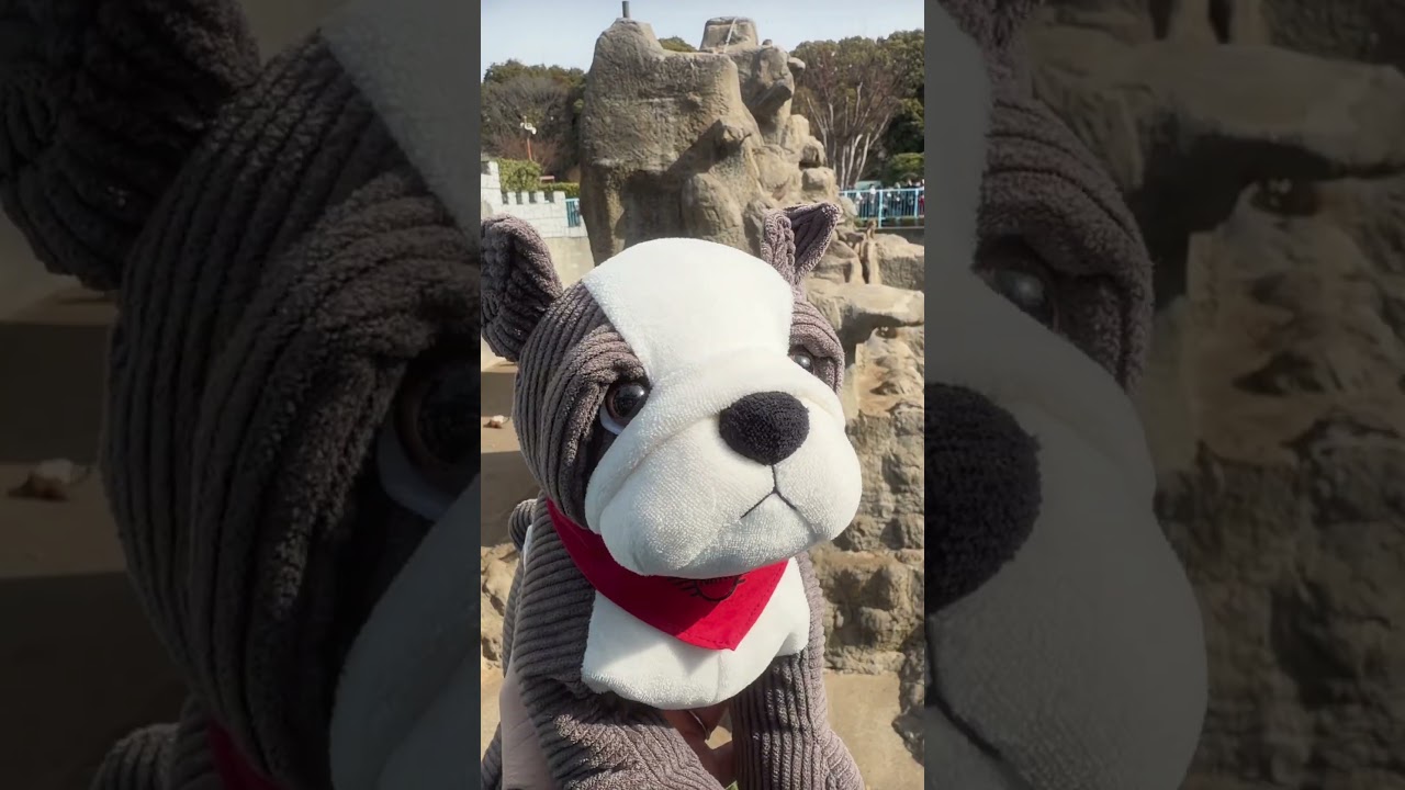 MINI Countryman | パンチくん応援隊、出動！