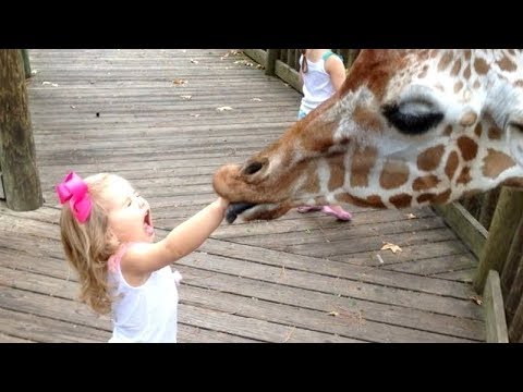 FORGET CATS! Funny KIDS vs ZOO ANIMALS are WAY FUNNIER! - TRY NOT TO LAUGH