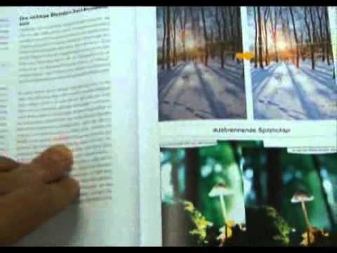 Traumflieger.de - Das Profi-Handbuch zur Canon EOS 550D