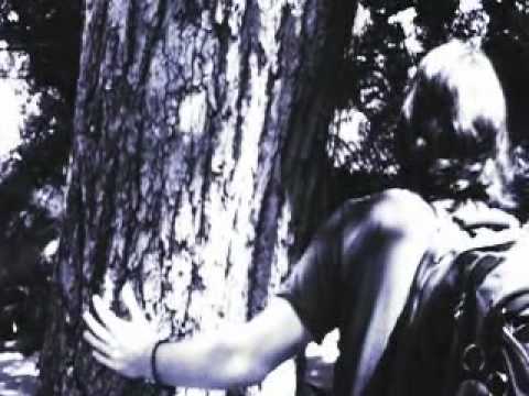 Nest- My 2nd Short Film