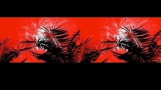 Les palmiers brûlent dans la nuit