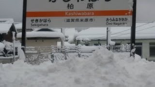 preview picture of video '2013/12/29 東海道本線 313系 関ヶ原 ～ 柏原 / Tokaido Line: Sekigahara - Kashiwabara'