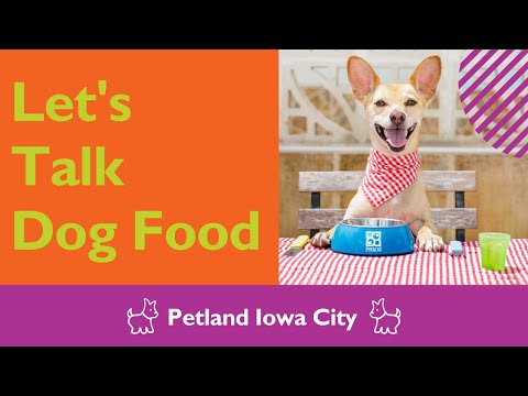 Petland Talks Dog Food