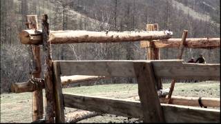 Tengeriin Khvv kinonii duu HD