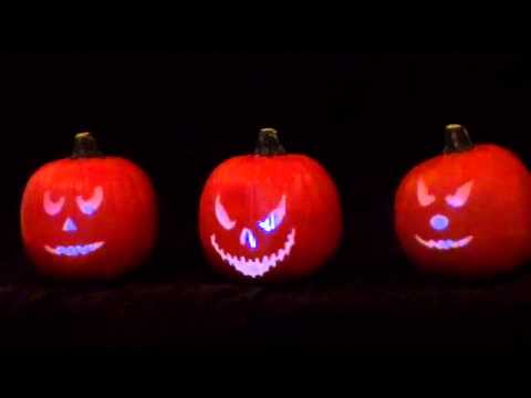 The Pumpkin Patch Song - Halloween Projection With Original Song