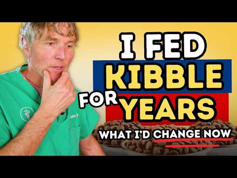 My Regrets About Feeding Kibble (And What I Feed Now)