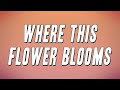 Tyler The Creator Where This Flower Blooms Ft Frank Ocean Lyrics