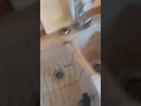 4 октября 2019 г.