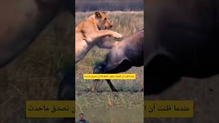 خطأ واحد غير كل شيء ماذا حدث فيجزئ الثانية؟#shorts