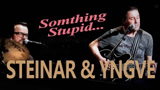 Something Stupid - Yngve & Steinar