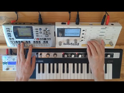 Polar Orbit - A Live Synth Jam (Blofeld, reface CP, Specular Tempus)