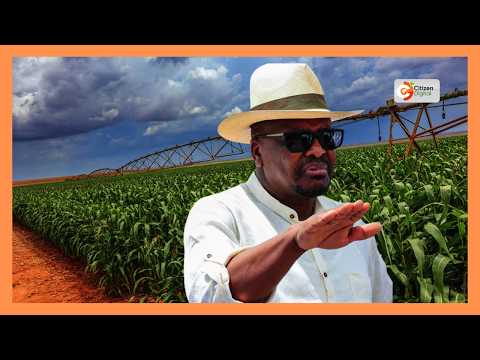 Waziri wa kilimo Kagwe aonya dhidi ya Uagizaji wa dawa za mimea zilizopigwa marufuku