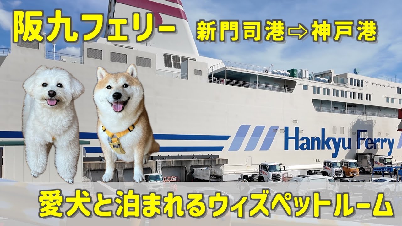 【阪九フェリー】ウィズペットルームで行く愛犬と快適な船旅🚢（新門司港▶︎神戸港）【#118】