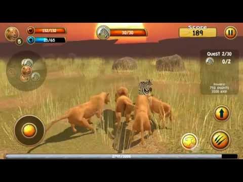 Wild Lion Simulator - Android / iOS Gameplay Review - YouTube